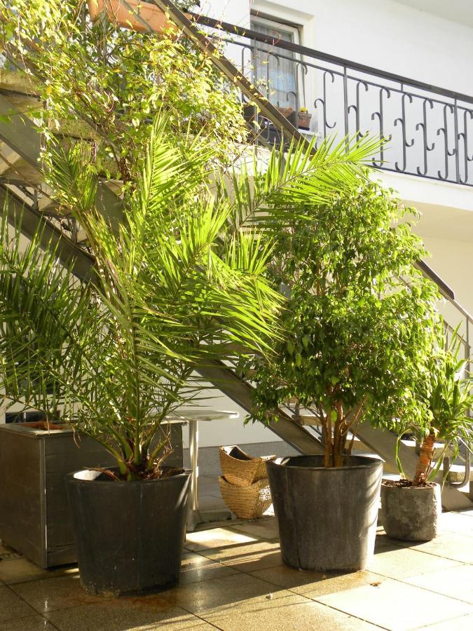 Sellin  Apartment Gartenstrasse 3 חדר תמונה